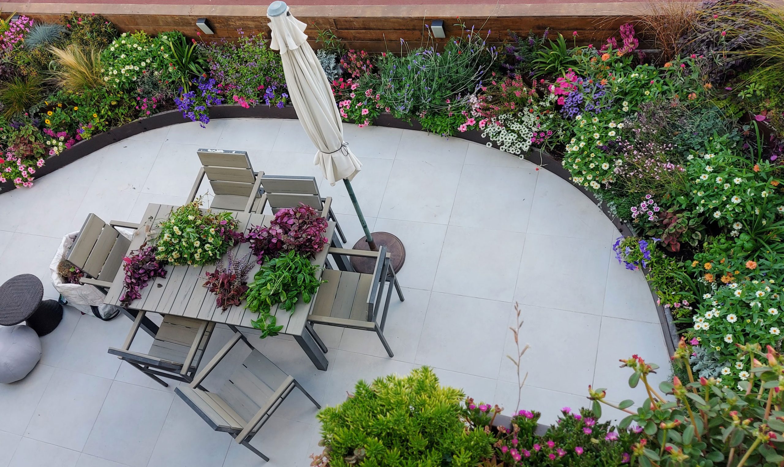 הטרנד החדש של ישראל: הופכים את המרפסת (או הגג) לגינה פרטית פסטורלית